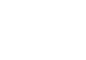 Logo Reversed